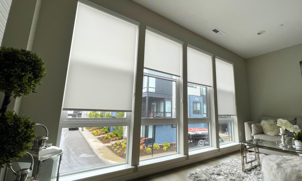 Lumen Blinds White Roller Shades Screen Blinds Seattle on time on budget